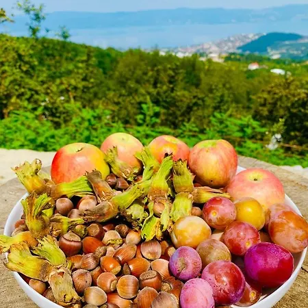 Phalesia Glamping Sapanca