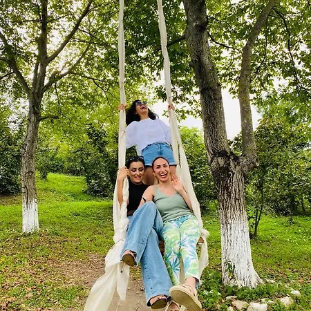 Hotel Phalesia Glamping *