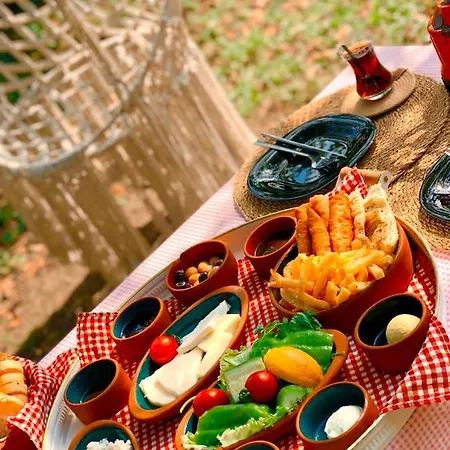 Hotel Phalesia Glamping *