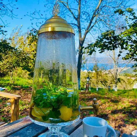 Phalesia Glamping *