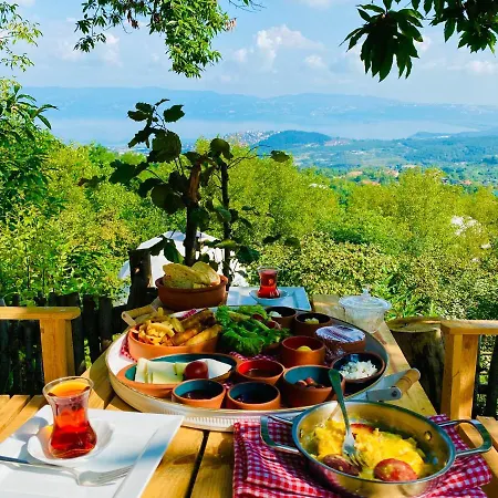Phalesia Glamping
