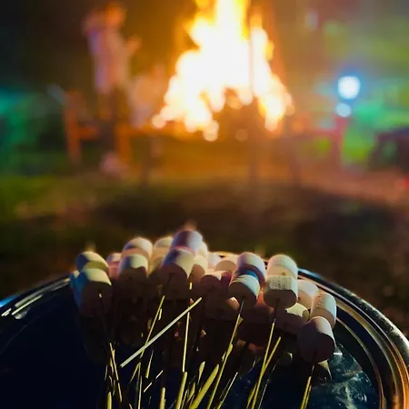 Hotel Phalesia Glamping Sapanca