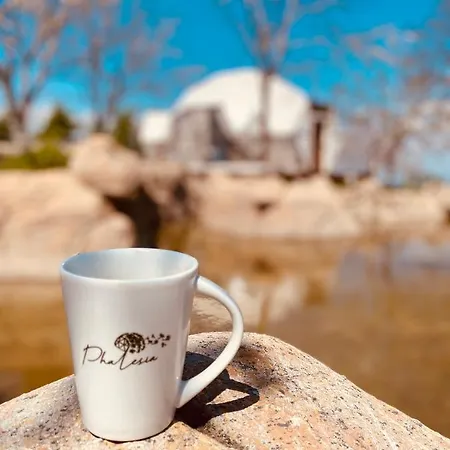 Hotel Phalesia Glamping Sapanca