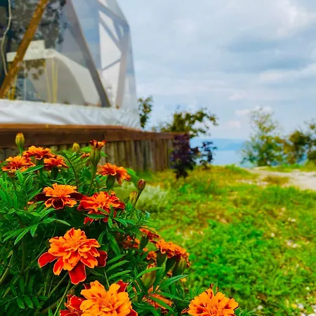 Hotel Phalesia Glamping