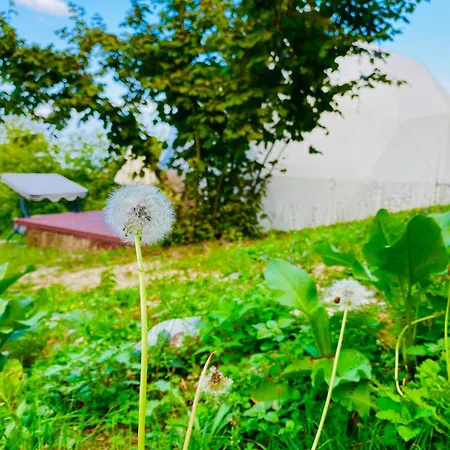 Phalesia Glamping Hotel Sapanca