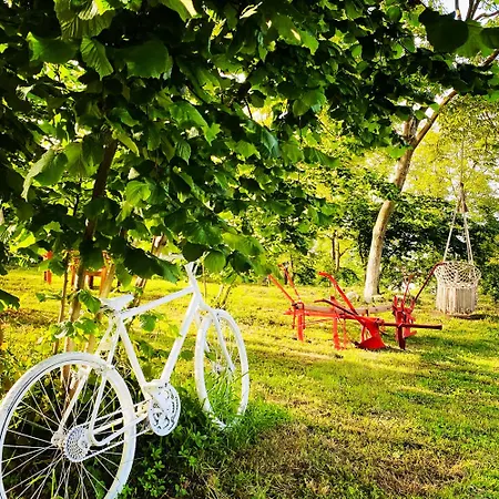 Hotel Phalesia Glamping