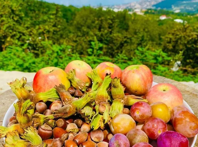 Phalesia Glamping ספנג'ה