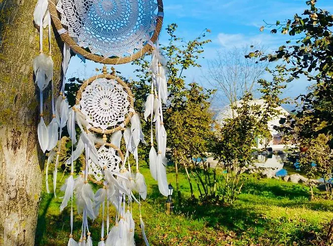 Phalesia Glamping מלון ספנג'ה