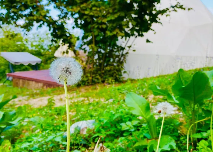 Phalesia Glamping מלון ספנג'ה